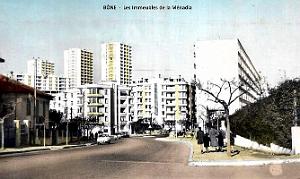 Bone - Menadia - Immeubles